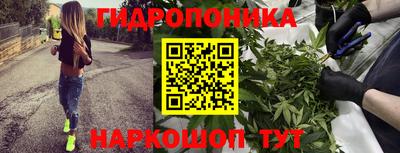 ешки Будённовск