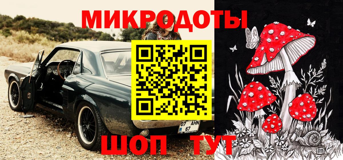 Псилоцибиновые грибы Psilocybe Медногорск